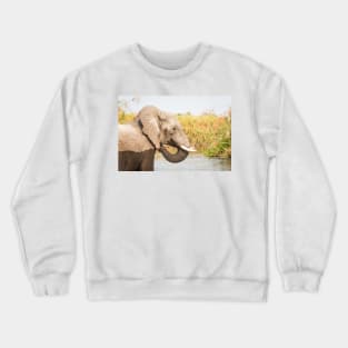 African Bush Elephant Feeding In River Crewneck Sweatshirt
